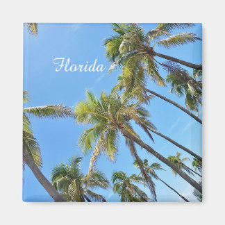 Florida Palmbomenmagneet Magneet
