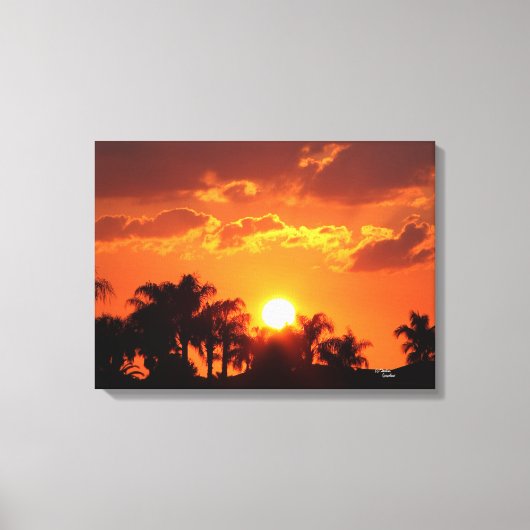 Florida palmboom zonsondergang Stretched Canvas Pr (Voorkant)