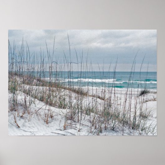 Florida Panhandle Beach Poster (Voorkant)