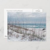 Florida Panhandle strand Briefkaart (Voorkant / Achterkant)
