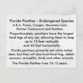 Florida Panther - Apprentissage Carte Postale (Dos)