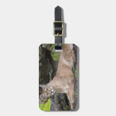 Florida Panther Bagagelabel (Voorkant verticaal)