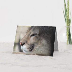 Florida Panther Birthday Kaart