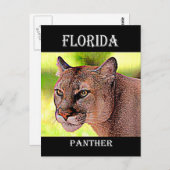 Florida Panther Briefkaart (Voorkant / Achterkant)