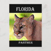 Florida Panther