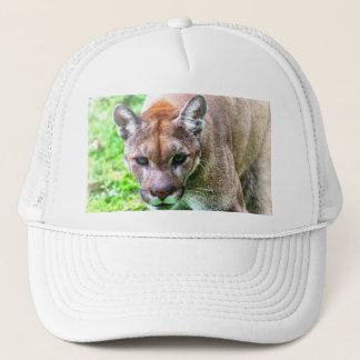 FLORIDA PANTHER HONKBALPETJE OF HOED TRUCKER PET