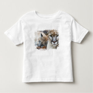 Florida Panther Kinder Shirts