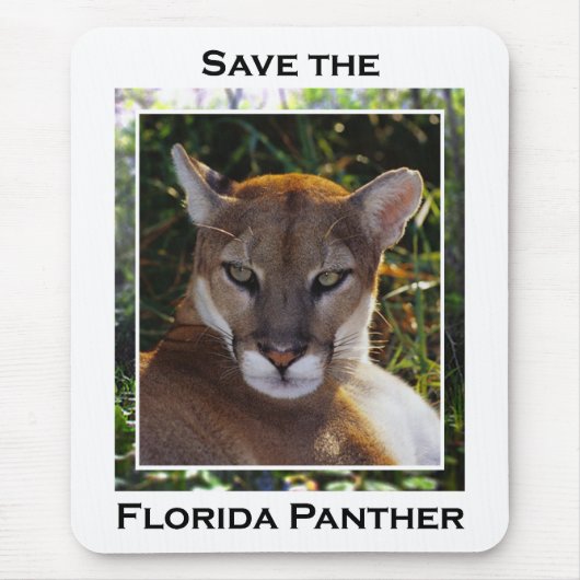 Florida Panther Muismat (Voorkant)