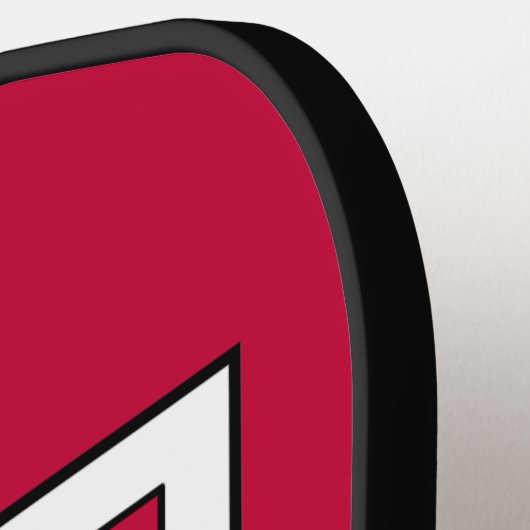 Florida Pickleball Paddle (Links Detail)