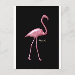Florida Pink Flamingo Briefkaart