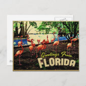 Florida Pink Flamingos Briefkaart (Voorkant / Achterkant)