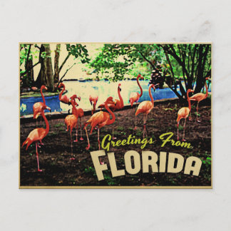 Florida Pink Flamingos Briefkaart