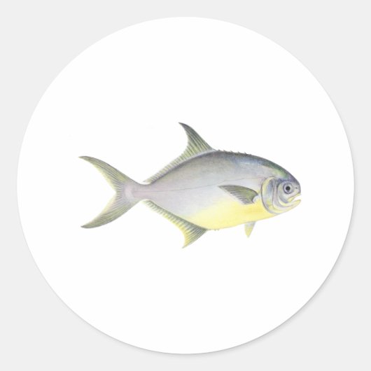 Florida Pompano Ronde Sticker (Voorkant)