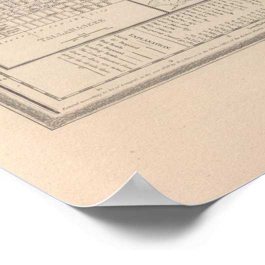 Florida Poster (Hoek)