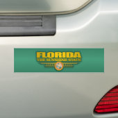 Florida Pride Bumpersticker (Op auto)