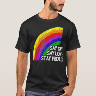 Florida Pride Say Gay say Love Blijf proud LGBTQ H T-shirt