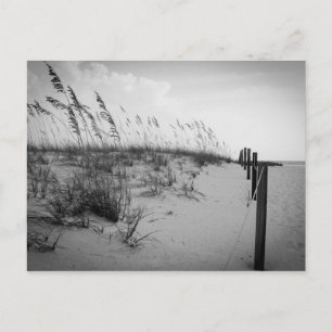 Florida Sand Dunes Briefkaart