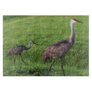 Florida Sand Hill Cranes Cutting Board Snijplank