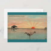 Florida Sandhill Sunrise Briefkaart (Voorkant / Achterkant)