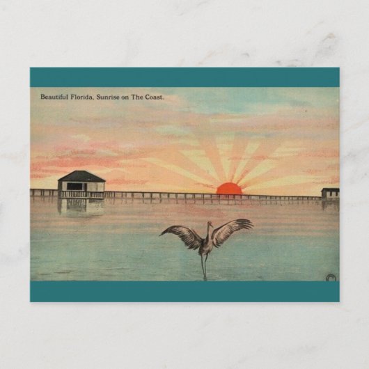 Florida Sandhill Sunrise Briefkaart (Voorkant)