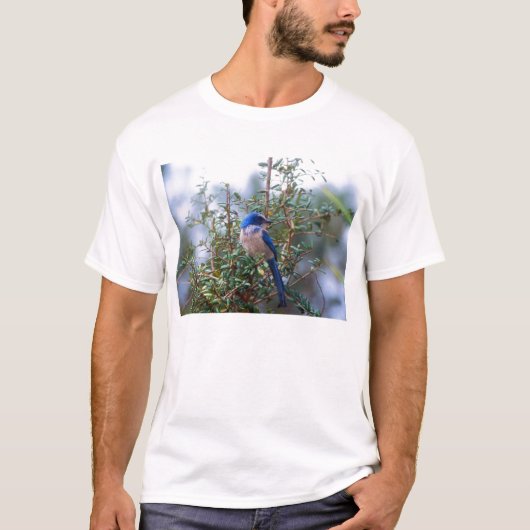 Florida Scrub Jay T-shirt (Voorkant)