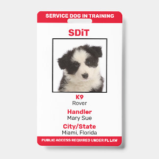 Florida SDiT (Service Dog In Training) info badge