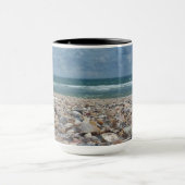 Florida Seashell Atlantic Ocean Beach Foto Mok (Midden)