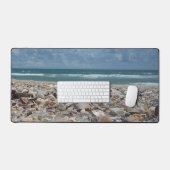 Florida Seashell Atlantic Ocean Beach Photo (Clavier et souris)