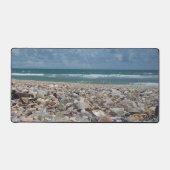 Florida Seashell Atlantic Ocean Beach Photo (Recto)