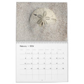 Florida Seashell Calendrier de la photographie Vol (Feb 2026)