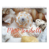 Florida Seashell Calendrier de la photographie Vol (Protection)