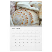 Florida Seashell Fotografie Kalendar Volume 2 Kalender (Mar 2026)
