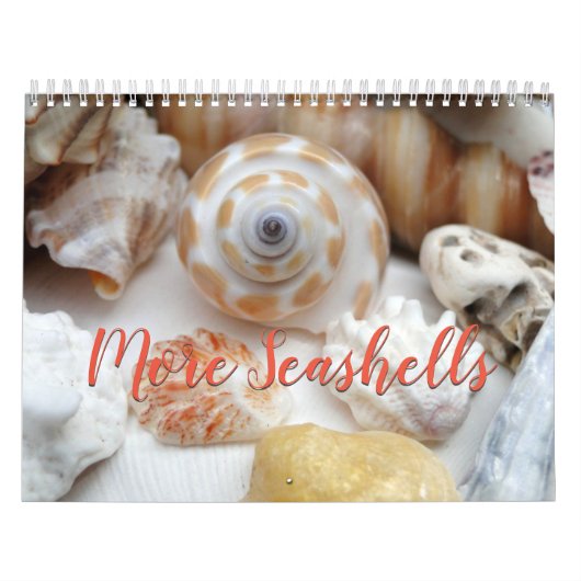 Florida Seashell Fotografie Kalendar Volume 2 Kalender (Hoes)