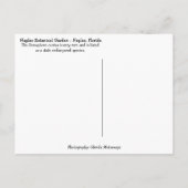 Florida Semaphore Cactus Napels Botanische Garden Briefkaart (Achterkant)