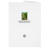 Florida Semaphore Cactus Naples Jardin botanique (Dos)