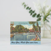 Florida, Silver Springs Briefkaart (Staand voorkant)