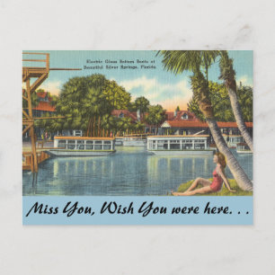 Florida, Silver Springs Briefkaart
