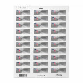 Florida Silver State American Flag Patriotic Etiket (Full Sheet)
