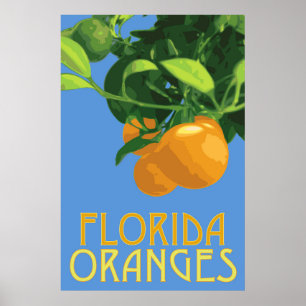 Florida Sinaasappels Fruit Poster 24 x 36