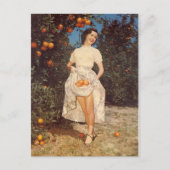  Florida Sinaasappels Post Card Briefkaart (Voorkant)