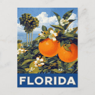 Florida Sinaasappels Reis naar het verleden Briefkaart