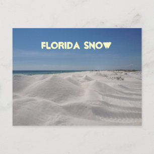 Florida Snow Briefkaart