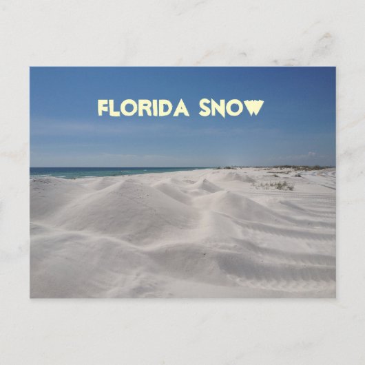 Florida Snow Briefkaart (Voorkant)