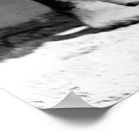 Florida Spring Break Bathing Beauties 1920 Poster (Hoek)