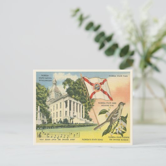 Florida staatssymbolen  Tallahassee Briefkaart (Staand voorkant)