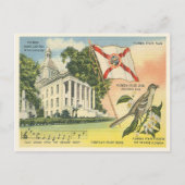 Florida staatssymbolen  Tallahassee Briefkaart (Voorkant)