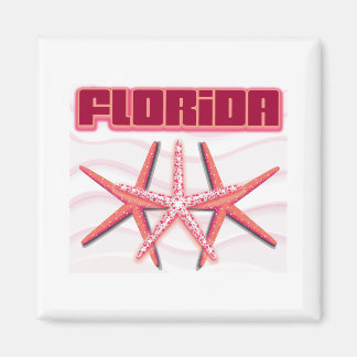 Florida Starfish Magneet