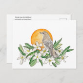 Florida State Bird and Flower Briefkaart (Voorkant / Achterkant)