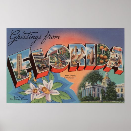 Florida (State Capital Scene) Poster (Voorkant)