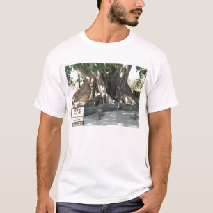 Florida State Champion Mysore-vogelboom met teken T-shirt